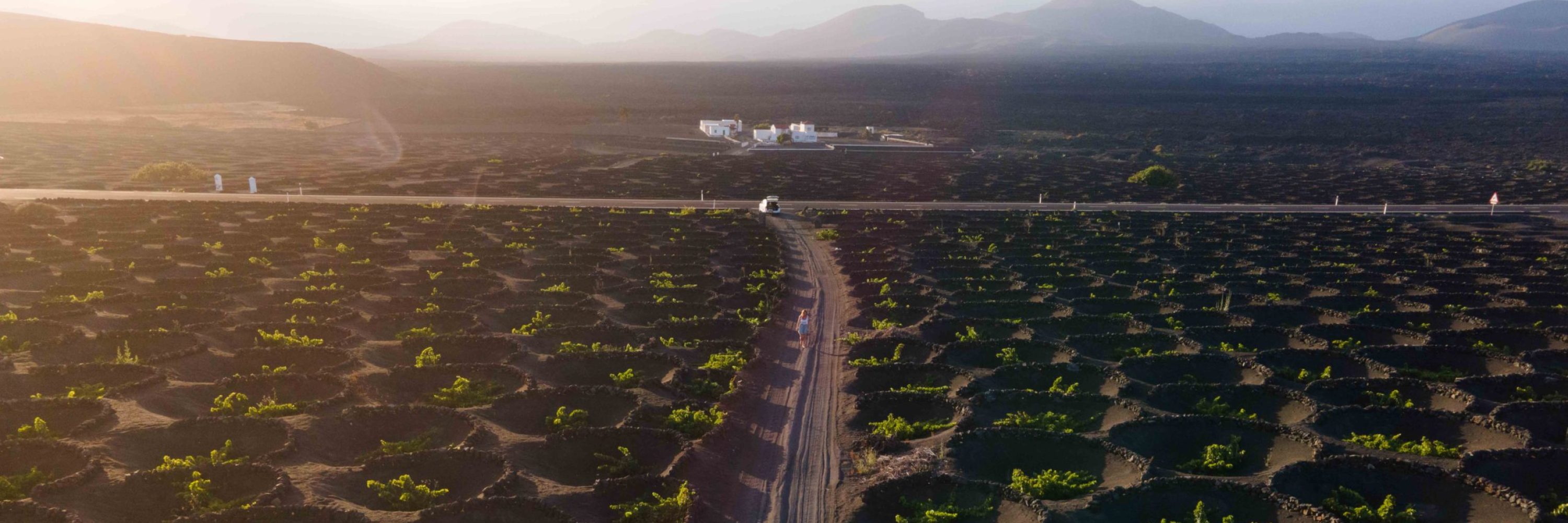 Lanzarote La Geria wine tasting